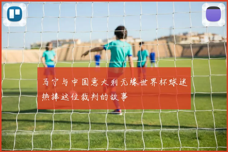 马宁与中国意大利无缘世界杯球迷热捧这位裁判的故事